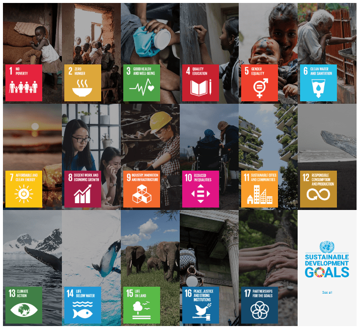 Global Uganda Chamber's Commitment to the United Nations’ 17 Sustainable Development Goals (SDGs)